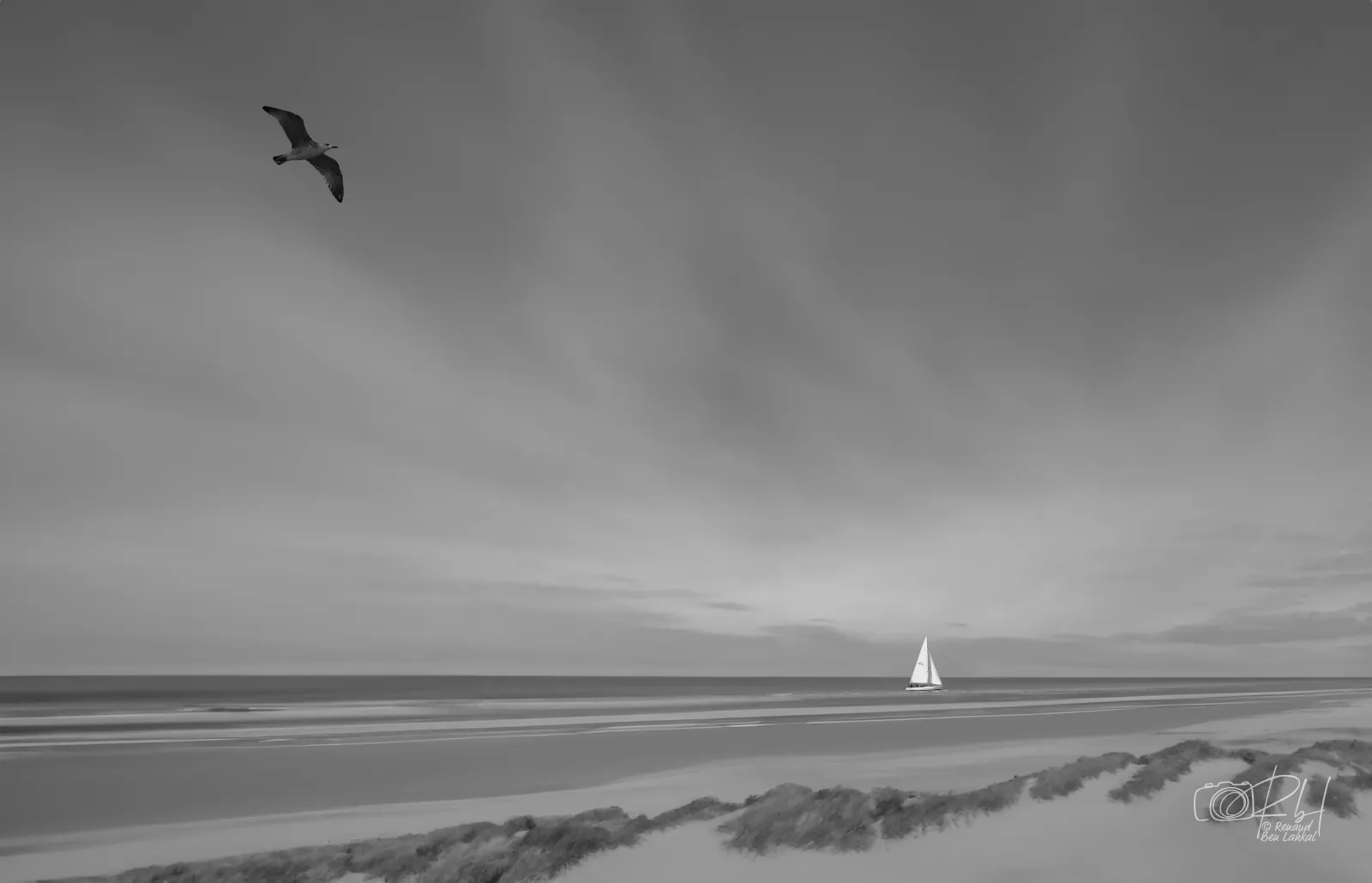 Nord & Monochrome