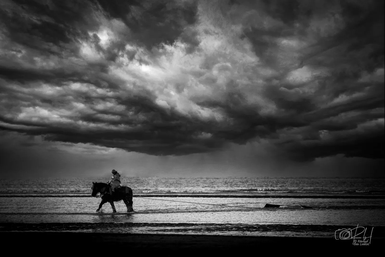 Nord & Monochrome